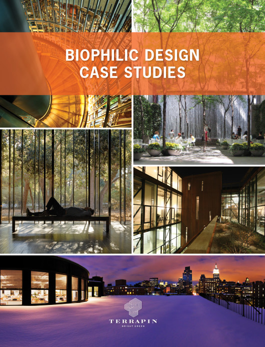 Biophilic Design Case Studies by Terrapin