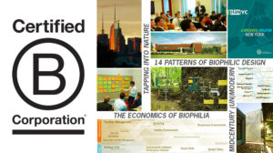 Terrapin is now a Certified B Corporation®