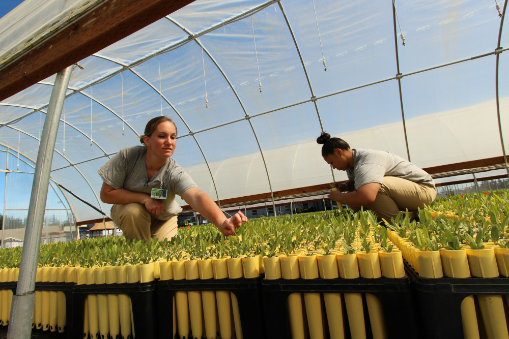 Sustainability In Prisons Project Terrapin Bright Green