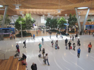 PDX Airport Terminal looking back at the forest from the Market mezzanine